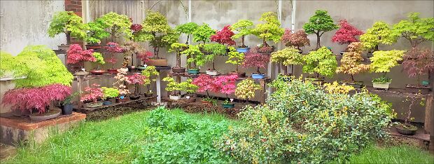 Printemps